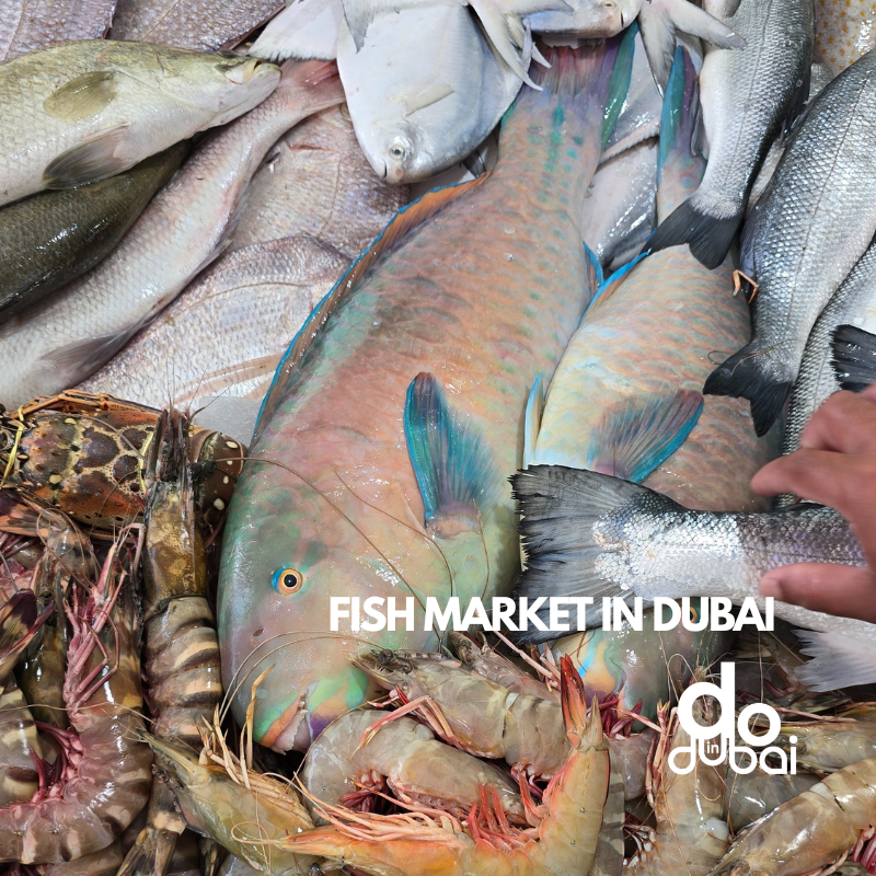 FISH MARKET IN DUBAI DoinDubai Monica Kapila parrot fish Oman