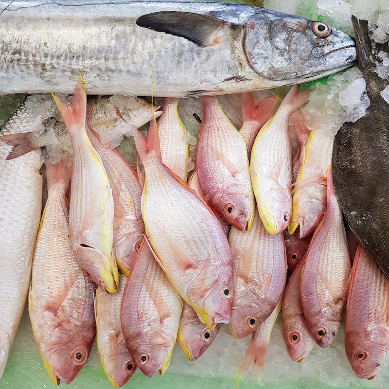 Fish Market in Dubai DoinDubai. freshest fish