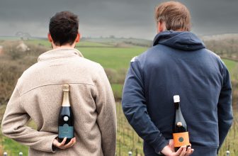 Unique Welsh Wines and Tours
