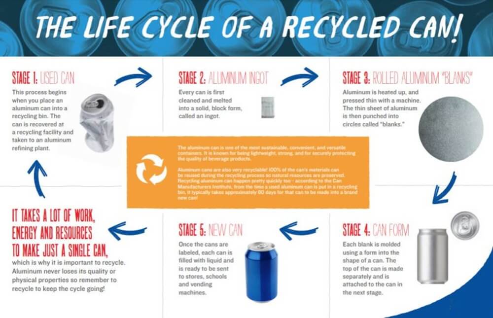 Life cycle of UBC