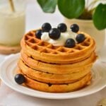 Protein Waffles