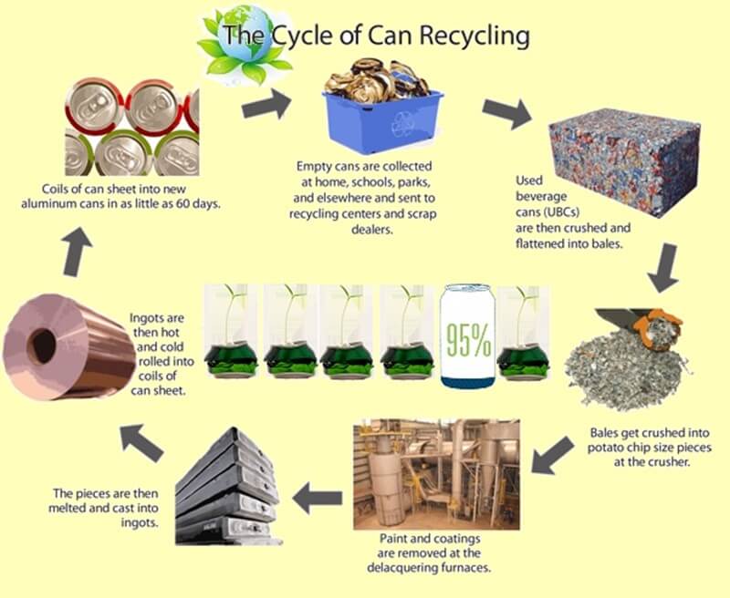 UBC recycling cycle