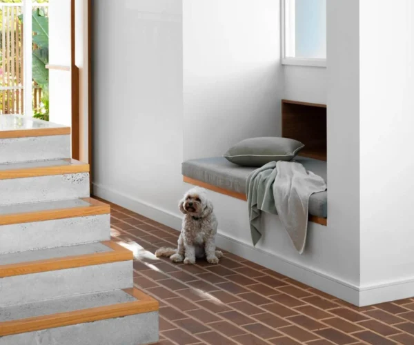4 Ways to Create a Pet-Friendly Space When Designing a Home