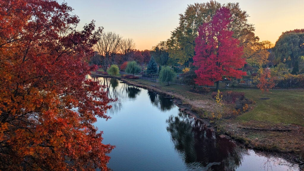 gluten free boston guide