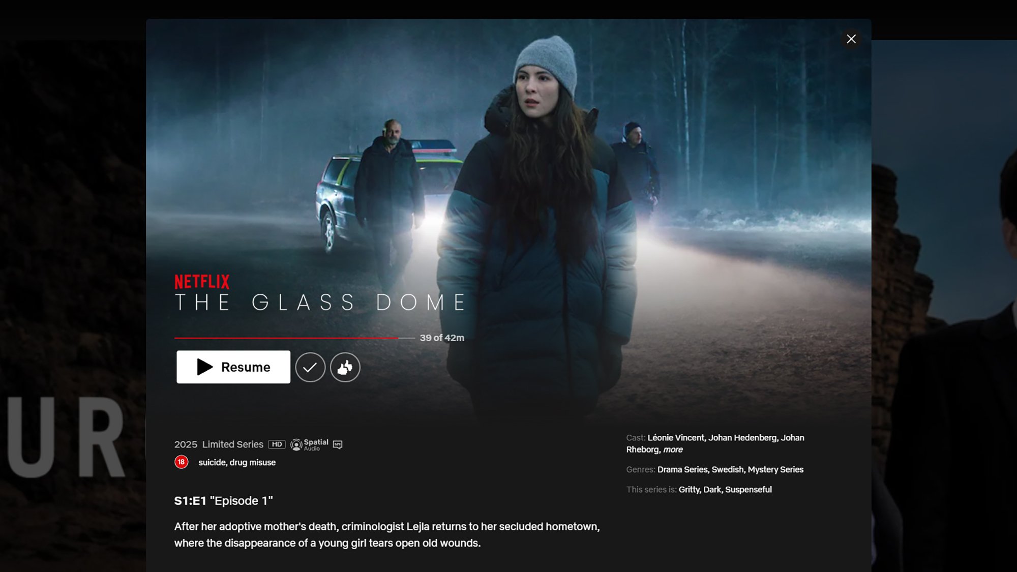 Netflix shows