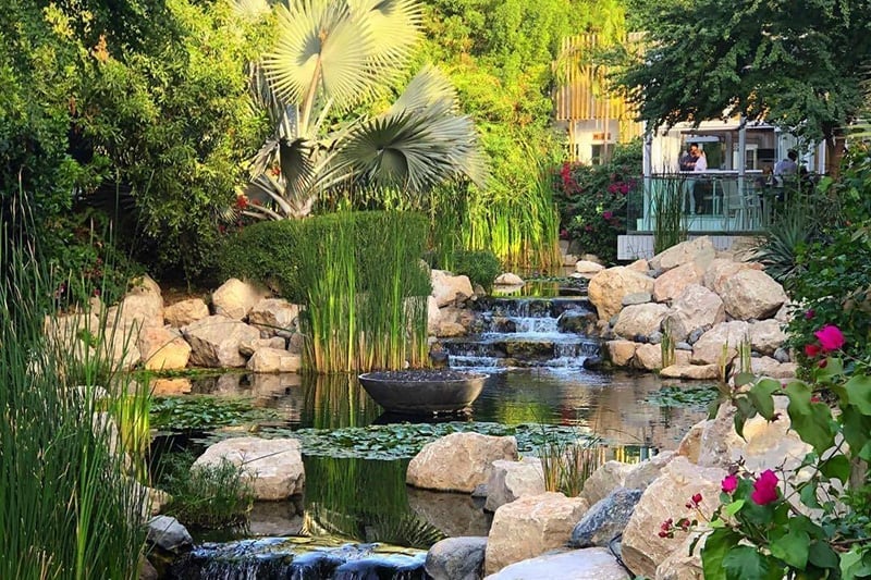 the farm al barari
