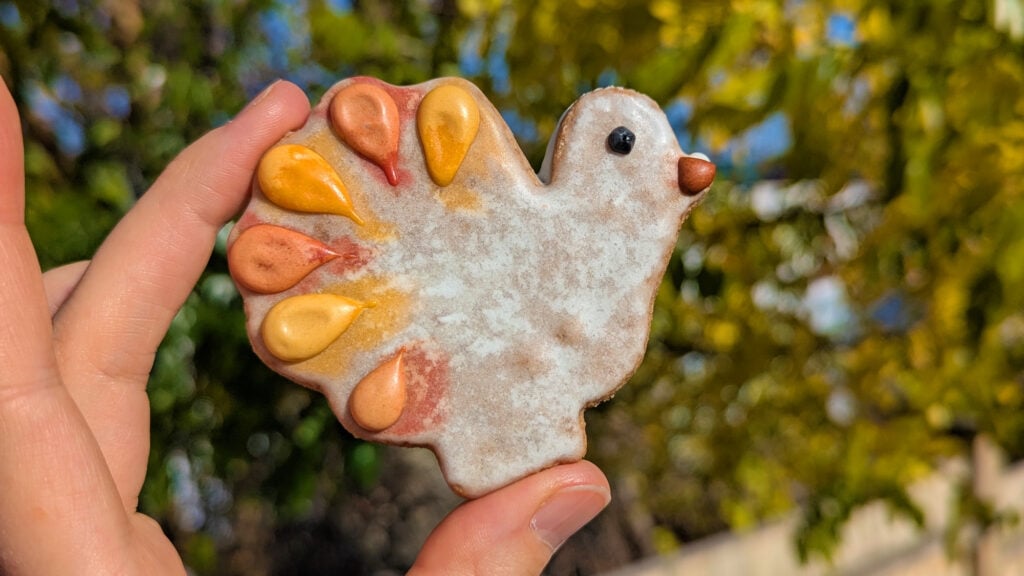 gluten free cookies in boston