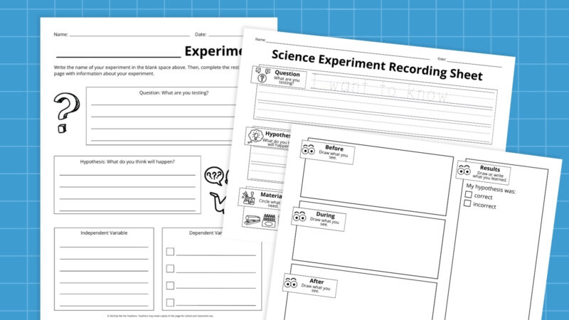 teaching-portfolio-Feature
