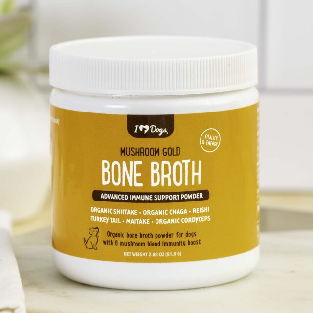 best dog immunity supplements
