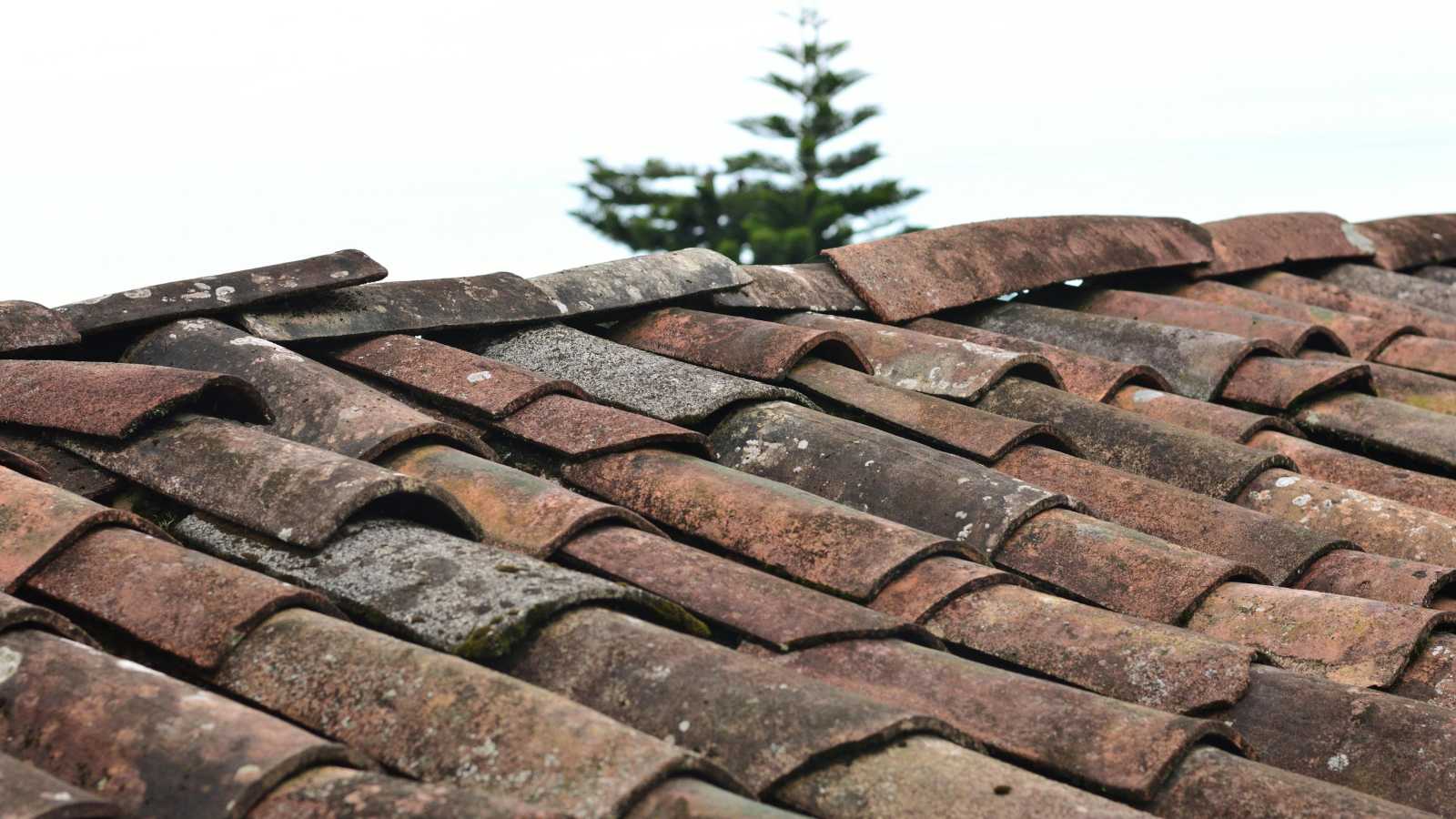 Home Maintenance Tasks You Can't Afford to Skip