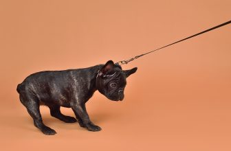 Most Employees Don’t Trust Their Leaders. Here’s What to Do About It.