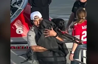 AirTag Leads to Miraculous Rescue After Dog Is Swept Out to Sea