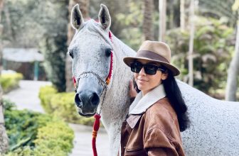 Albadeia Stud – The 90th Anniversary