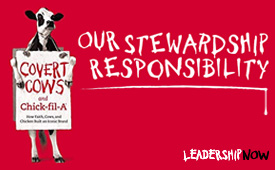 Our Stewardship Responsibility