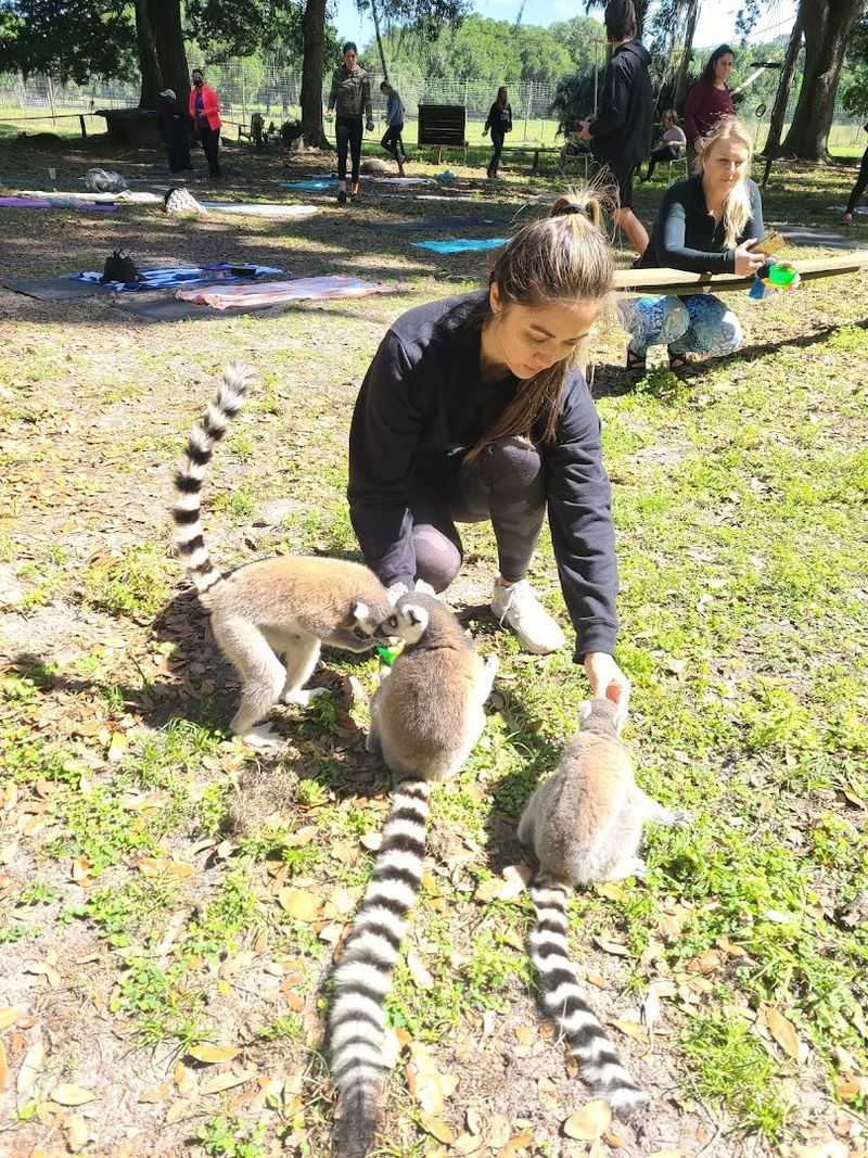 Expert Guides Who Make Every Animal Story Come Alive
