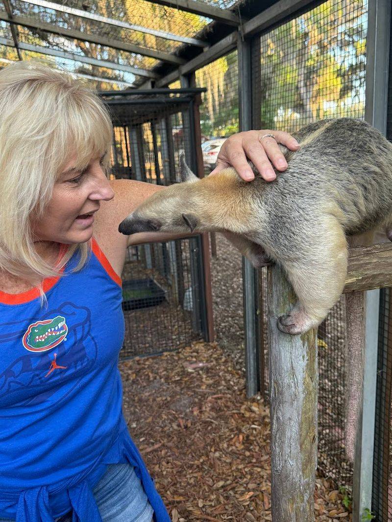 Otters, Fennec Foxes, and the Joy of Unexpected Discoveries