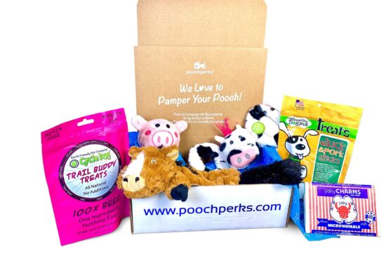 PoochPerks Dog Box