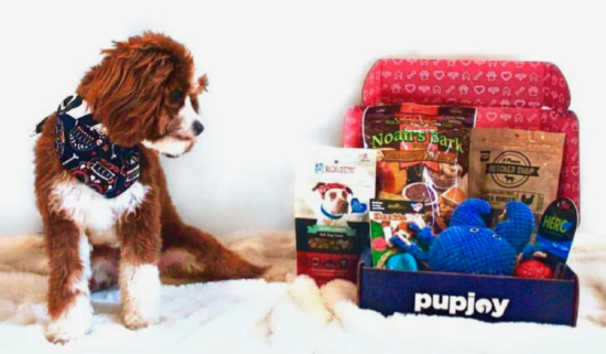 PupJoy Box