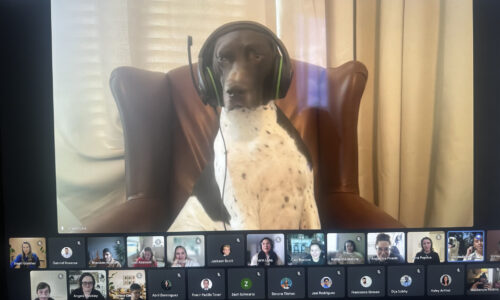 Remote Work Pet Coworkers