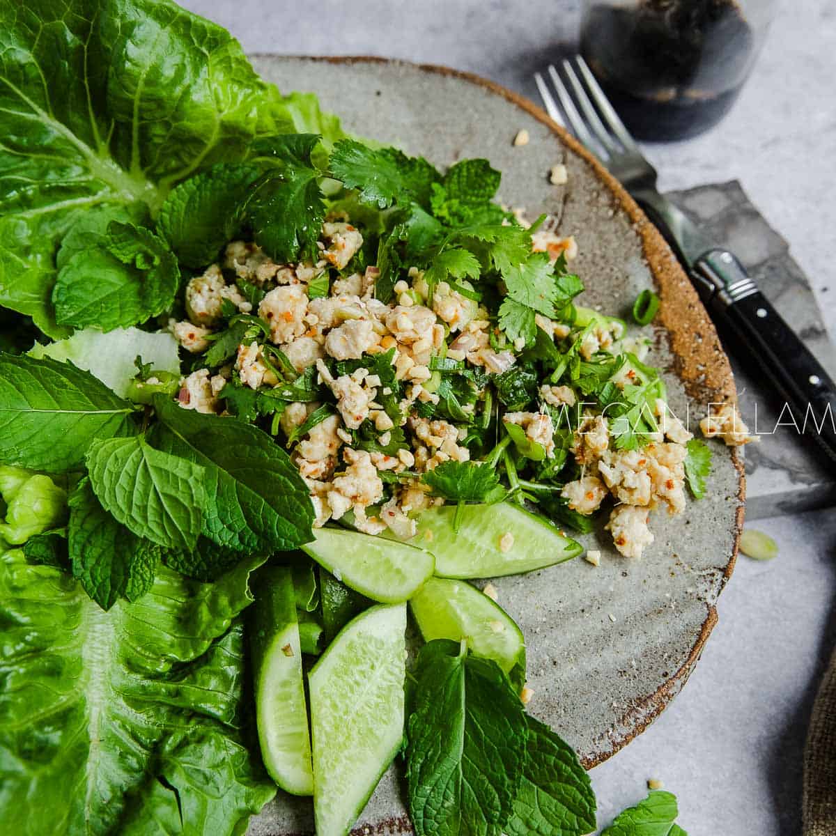 Chicken mince on a lettuce on a plate.