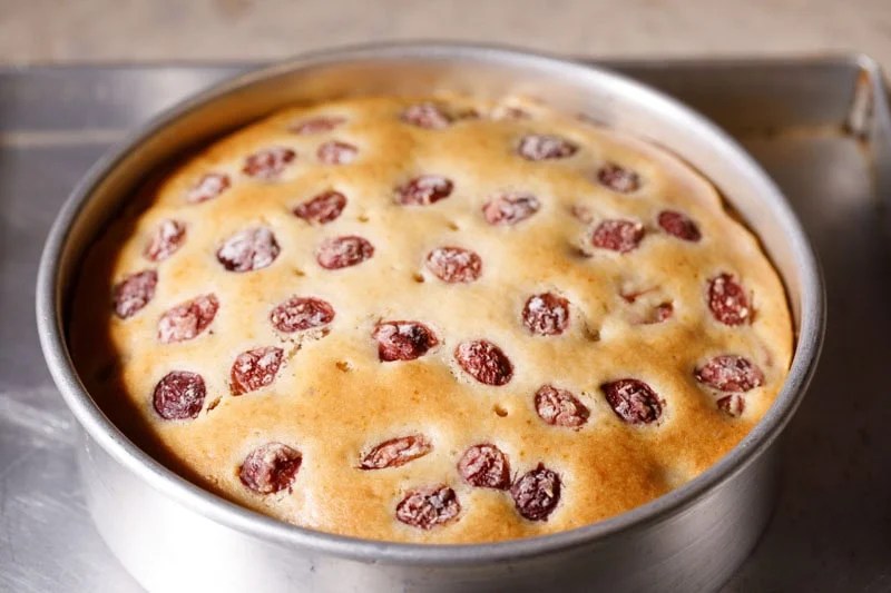 Golden baked cherry cake in pan.