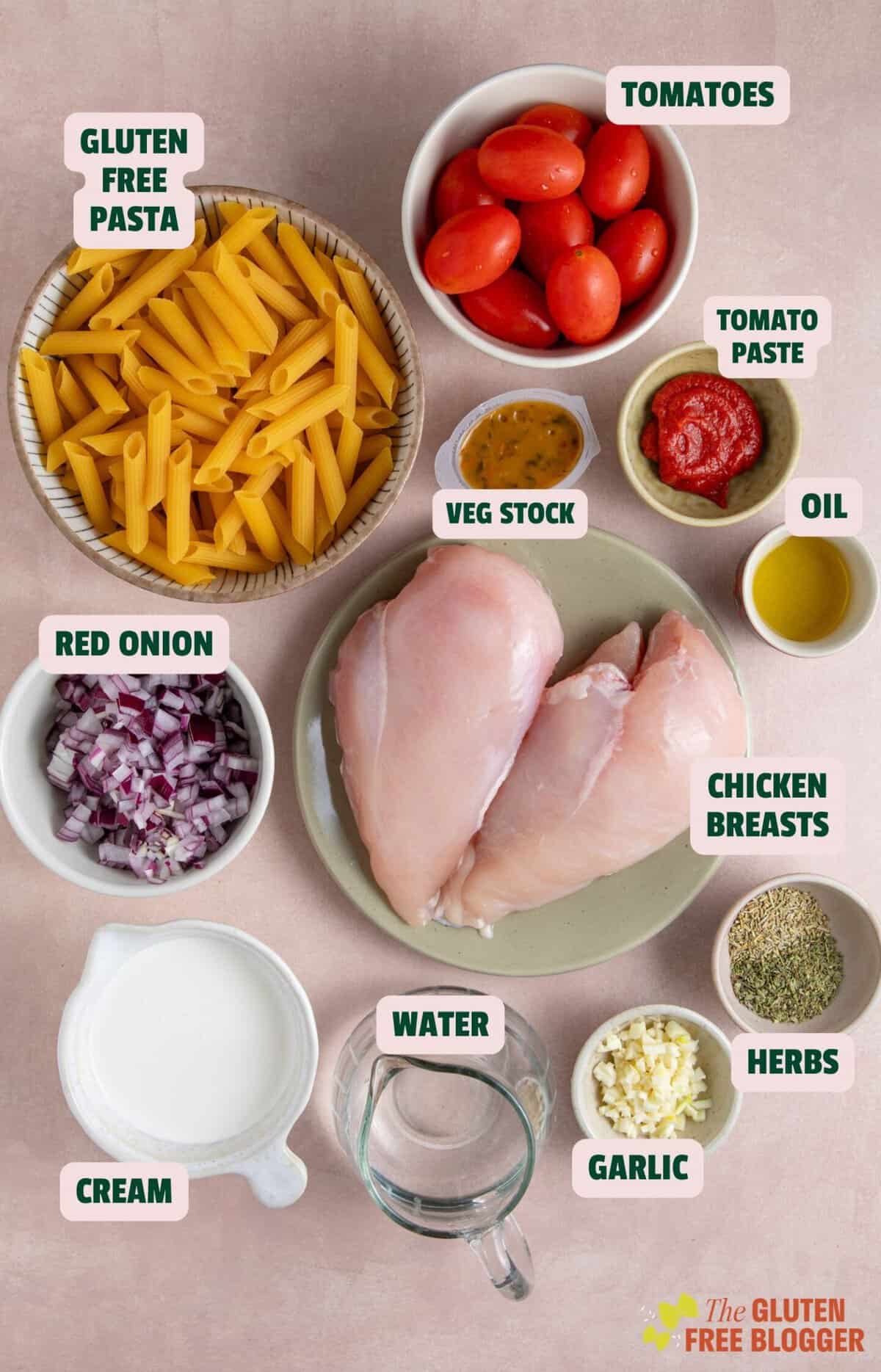 Flat lay of ingredients for chicken and tomato pasta with text labels.