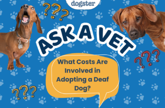 Ask Dr. Paola – HELP! What Costs Are Involved in Adopting a Deaf Dog? (August 10, 2026) — Dogster