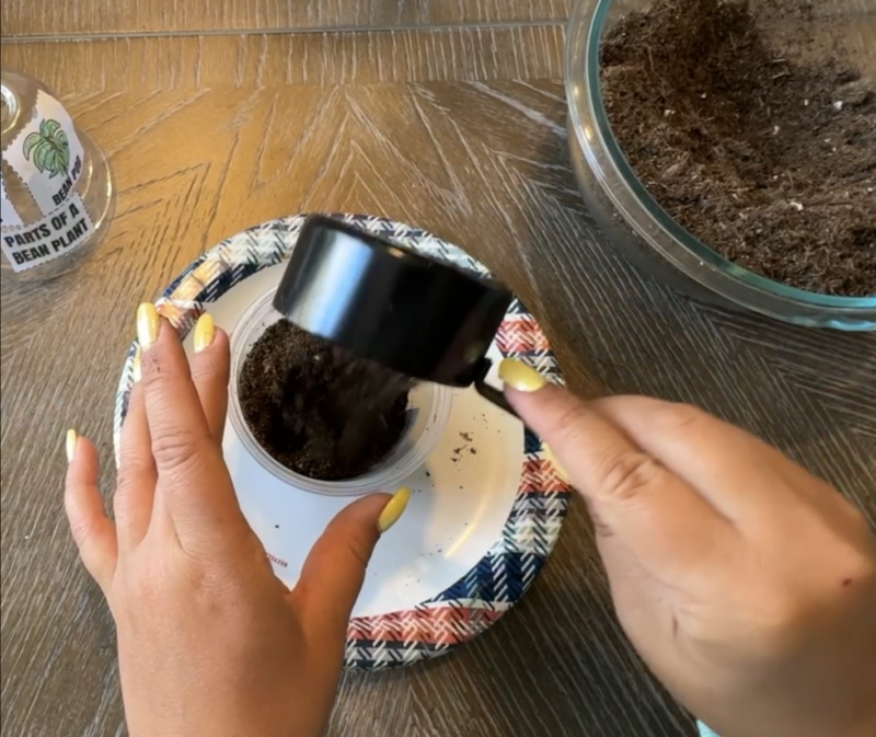 an image of a fifth grade science experiment of a teacher modeling how planting plants help with erosion