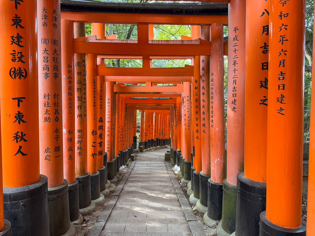 Torii gates at Fushimi Inari