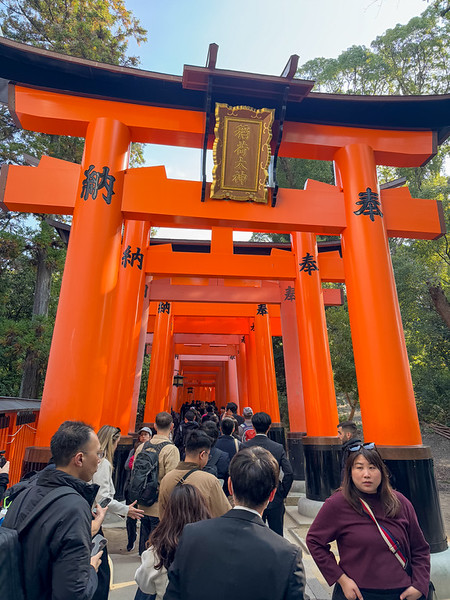 Crowds under torii gates at Fushimi Inari