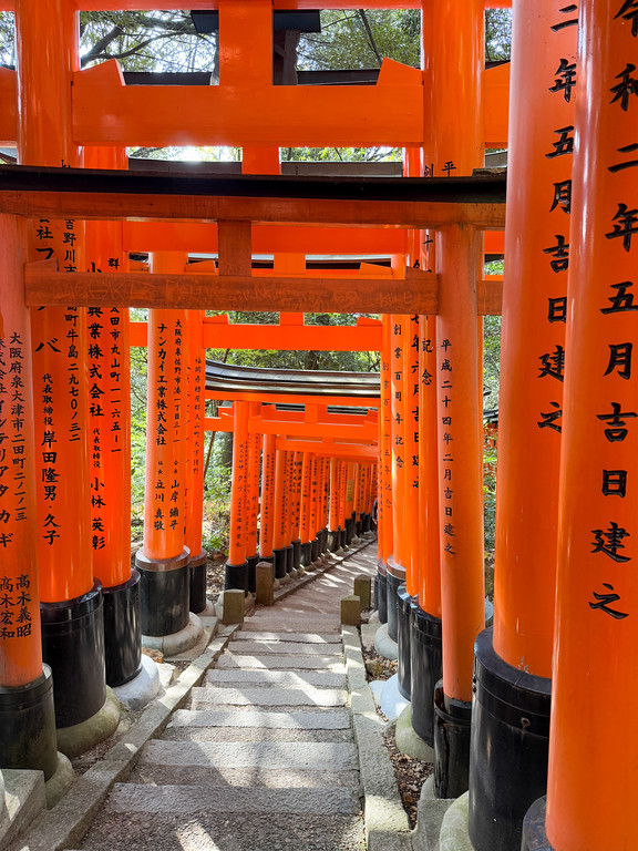 Red torii gates on Mt Inari