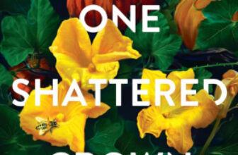 Caffeinated Reviewer | One Shattered Crown by Rebecca Zanetti