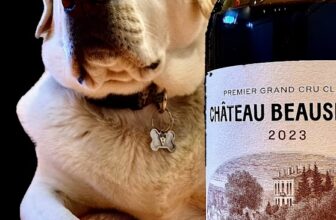 2023 Saint Emilion Guide, Wines A-K, blends, scores, buying tips