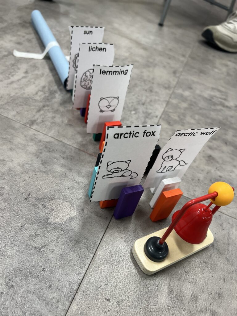 3rd Grade Science Projects an image of a 3rd grade science project that involves reenacting the food chain using cards and dominoes