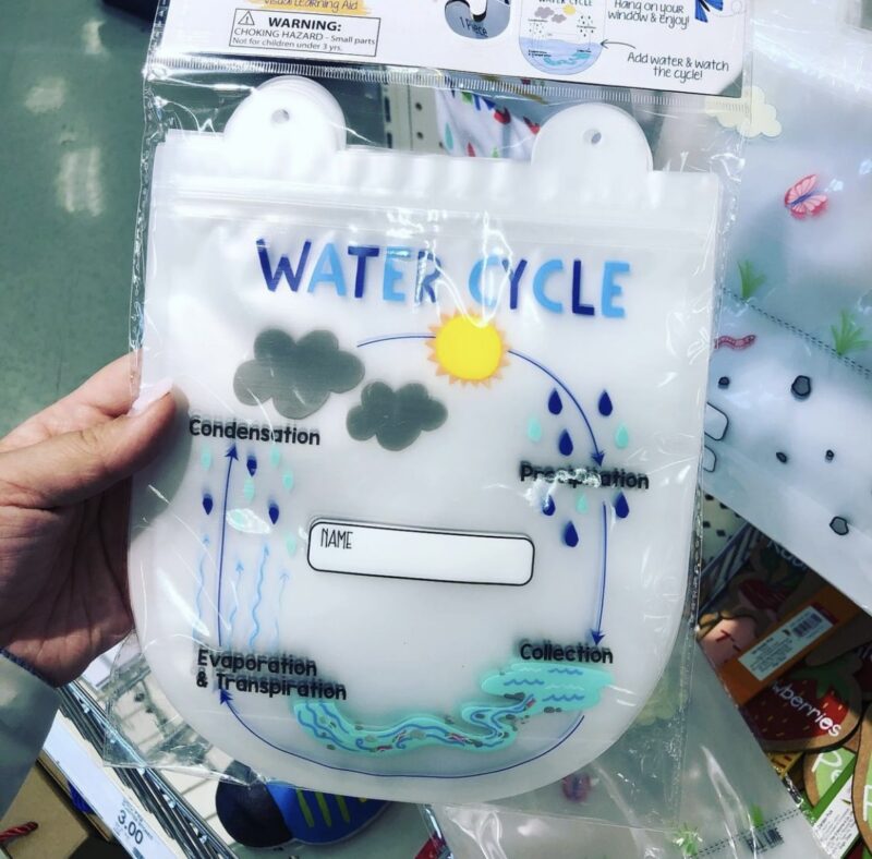 Easy Science Experiments for Kids easy science experiment for kids: water cycle in a bag