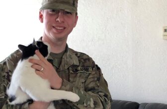 How Foster Families Help Veterans Heal — Dogster