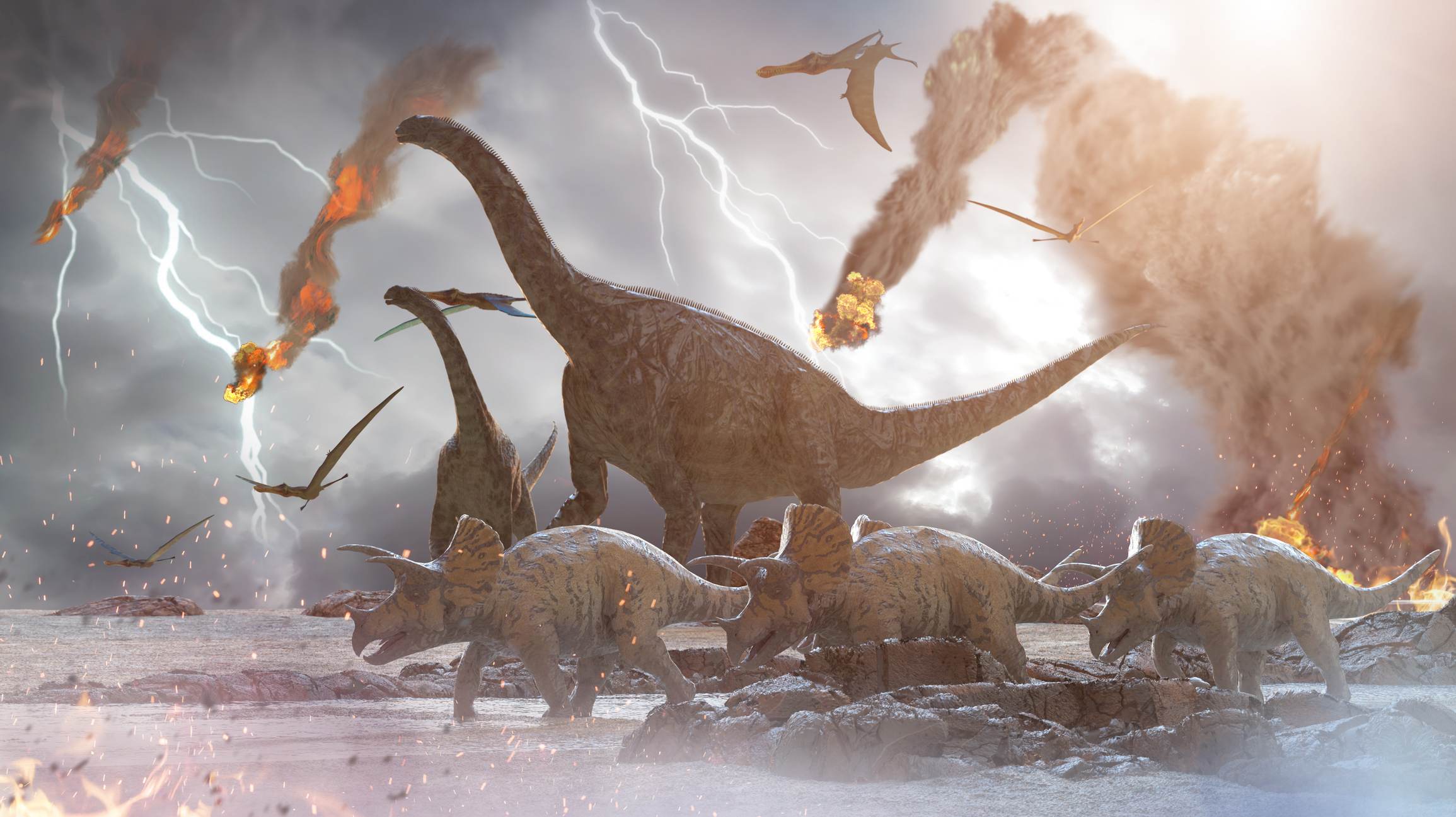 Destruction of dinosaurs by a falling meteorite