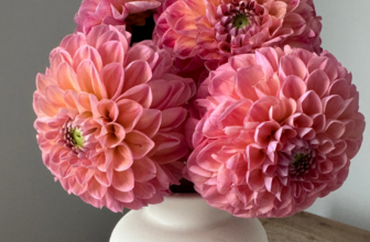 90/90 rule for decluttering + the fix everything smoothie