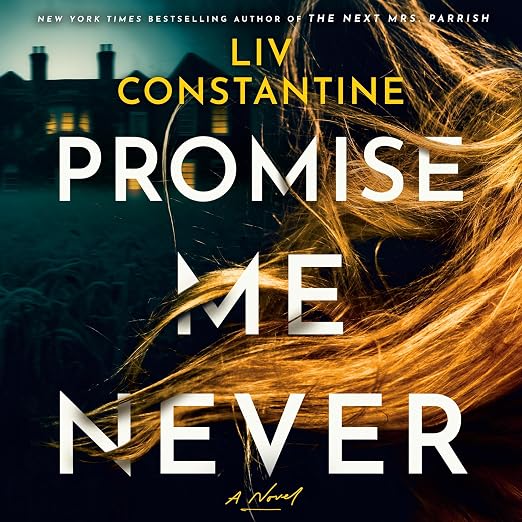 Promise Me Never: A Novel