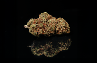 Who Names Cannabis Strains? Breeders on Genetics, Branding and Rights