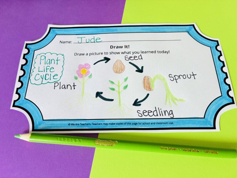 Exit Tickets an image of an exit ticket that teachers can use to assess student learning