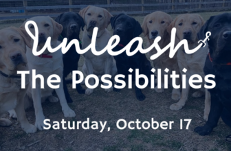 Unleash the Possibilities! – Hero Dogs