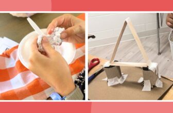 75 5th Grade Science Projects for the Classroom or Science Fair