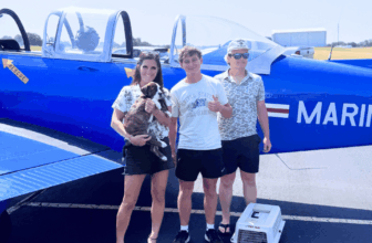 Your Support Helped Fly Hazel to Her Rescue Road Trip, With a 17-Year-Old Leading the Way