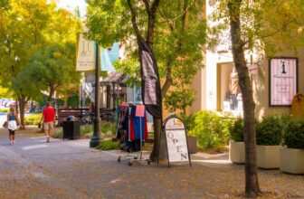 Healdsburg to Guerneville Best Wine Country Backroad