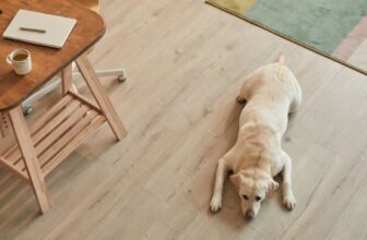 How to Protect Hardwood Floors from Dog Scratches (Without Giving Up Your Floors)