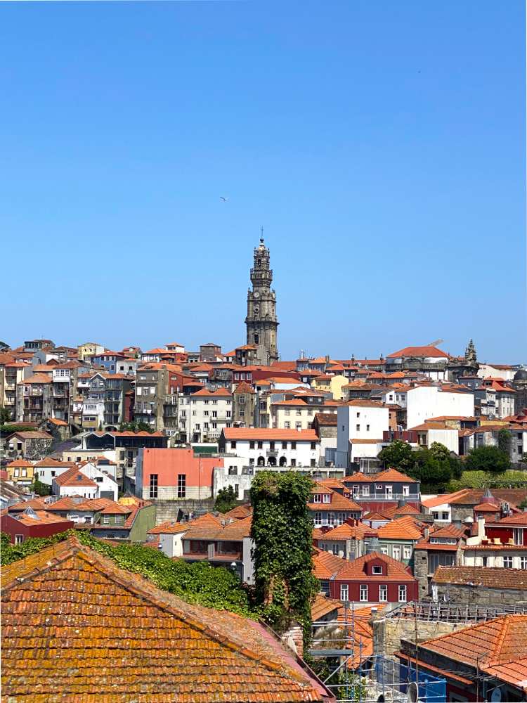 view over porto rooftops