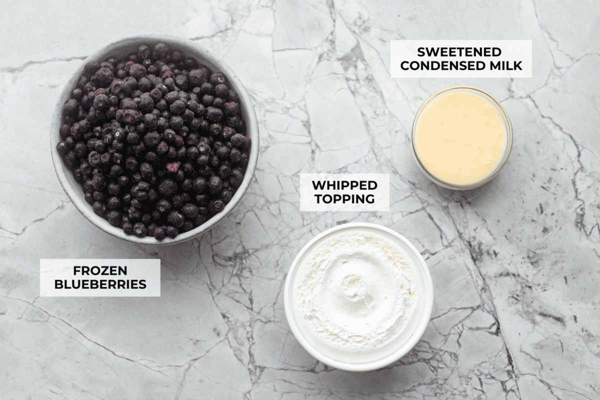 Overhead shot of labeled blueberry fluff ingredients. 