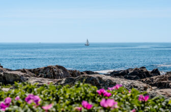 Coastal Maine Road Trip Itinerary with Kids: 6–9 Day Guide