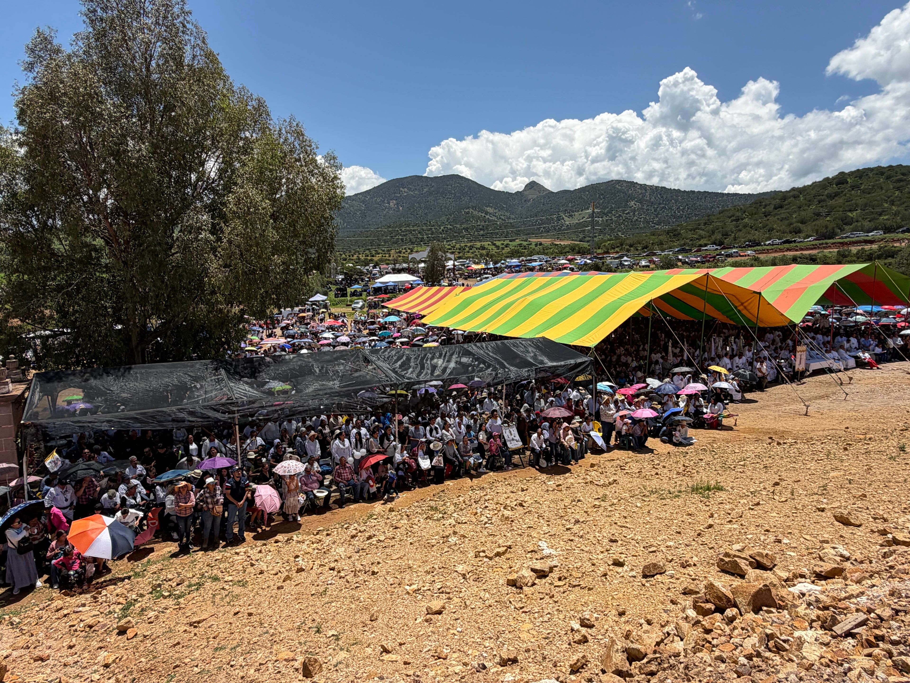 Cloudinary Asset